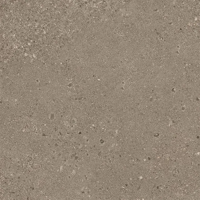 Grainstone Taupe Rough Grain Naturale 60x60